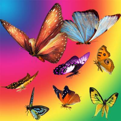 Елена Елена