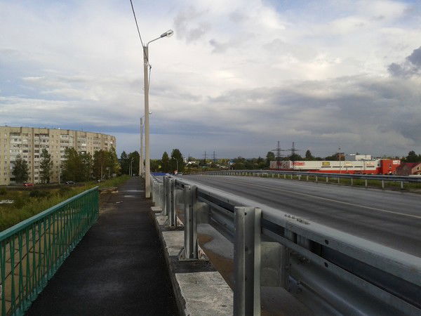 Елена Попова