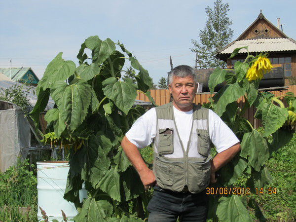 Сергей Епифанцев