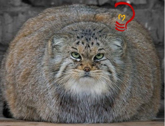 Дмитрий Кузьмин