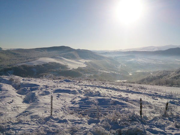 Роман Никулин