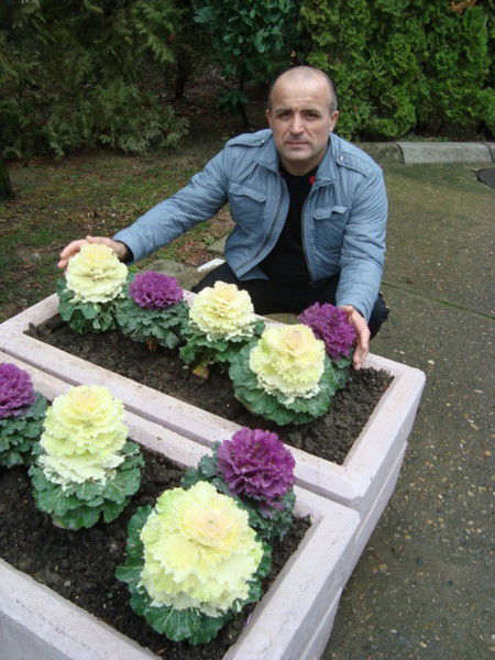 Николай Васюхно