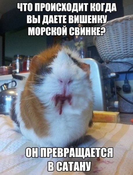 Тоня Маркина