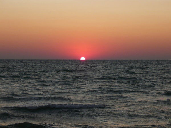 Александр Александров