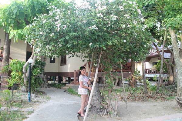 Марина Свешникова