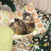 Милана Савенкова