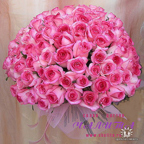 Алла Геннадьевна Мартук