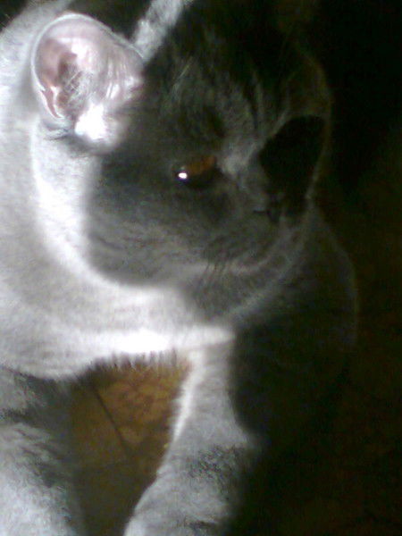 Екатерина Смирнова