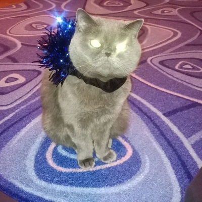 Анна Янбухтина