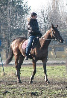 Виталик Дубов