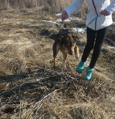 Виктория Холод