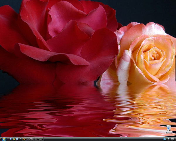 Марина Ханжина