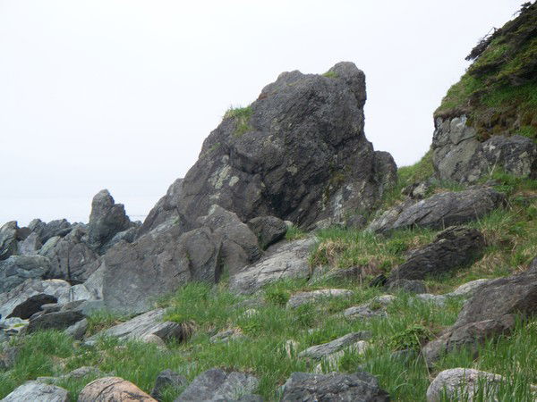 Светлана Бондаренко