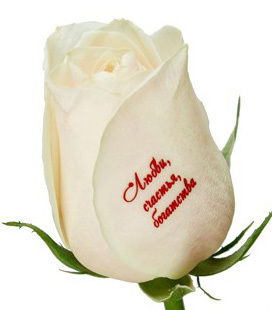 Акнур Ботабекова