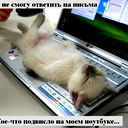 Игорь Суханов