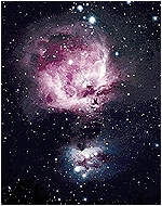 Виктор Никифоров