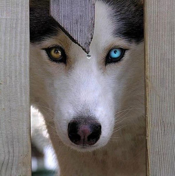 Ильдар Маликов