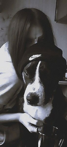 Алина Волкова