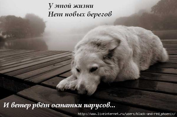 Виктор Свистов