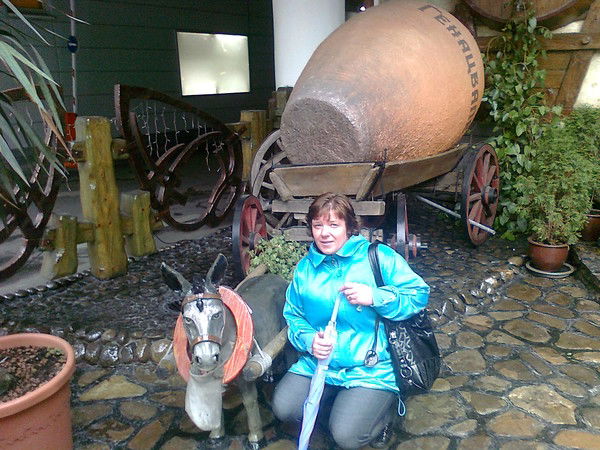 Елена Шевкунова