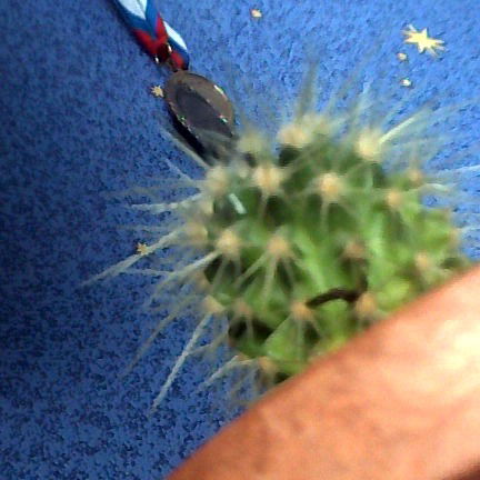 Просто Алекс