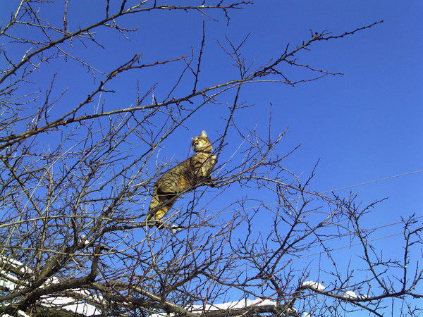 Татьяна Пиляшенко