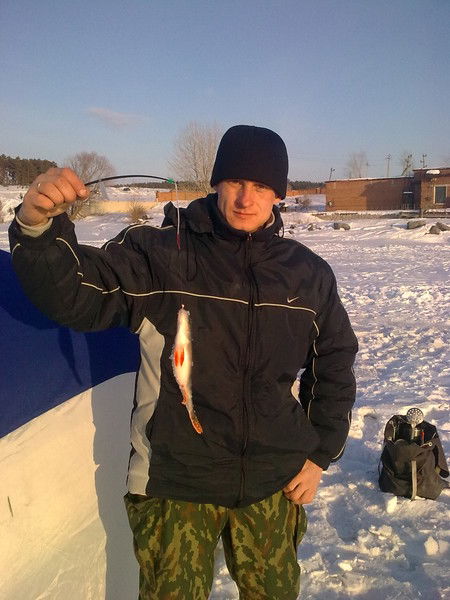 Александр Никулин