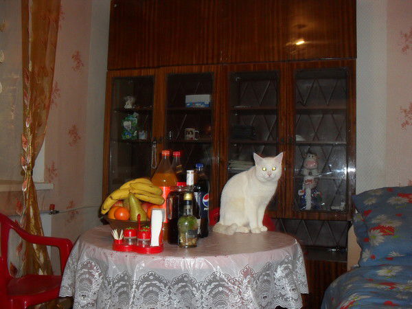 Али Хужаниязов