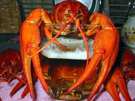 Андрей Горупович