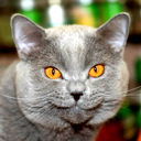 Марина Смирнова