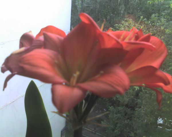 С Ув. Наталия Анатольевна