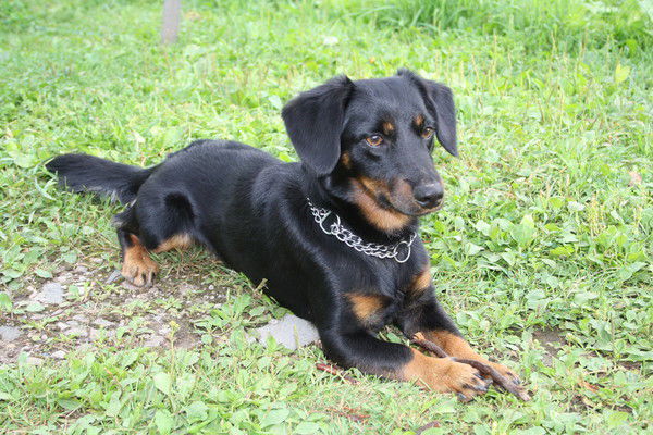 Ольга Семёнова