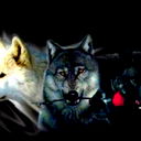 Данис Хасанов