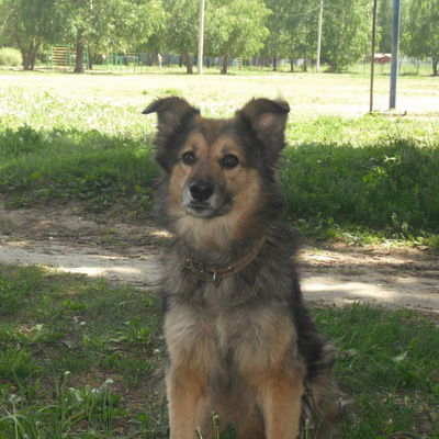 Алексей Егоров