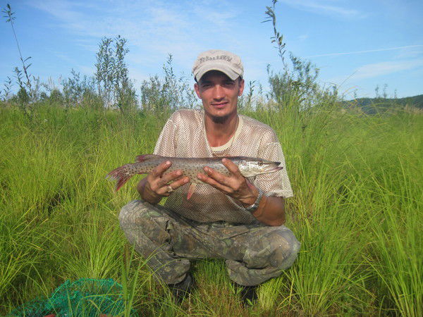 Федор Свиридов