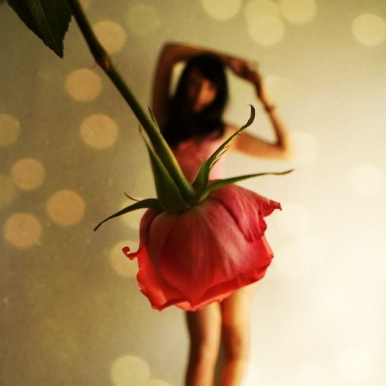 Ветер Свободы