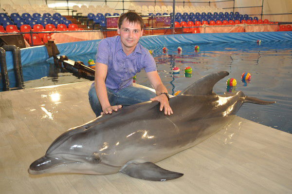 Максим Тойгильдин