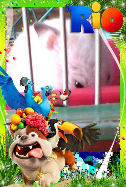 Коля Нарушевич