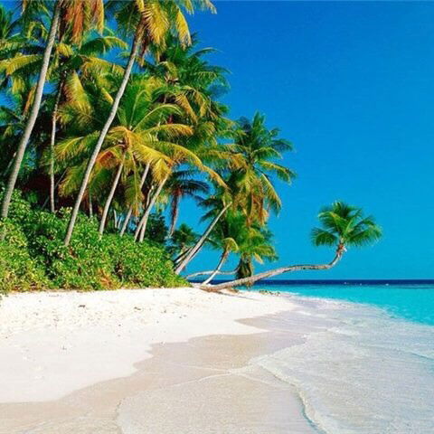 Марина Шкляр