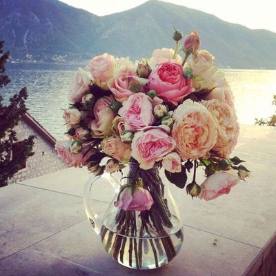 Ксения Морозова