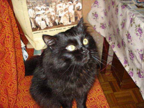 Танечка Солнышко