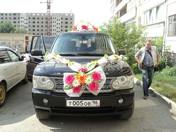 Светлана Новицкая