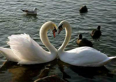 Gulzhanat Zhusupbekova