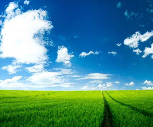 Алексей Алексеев