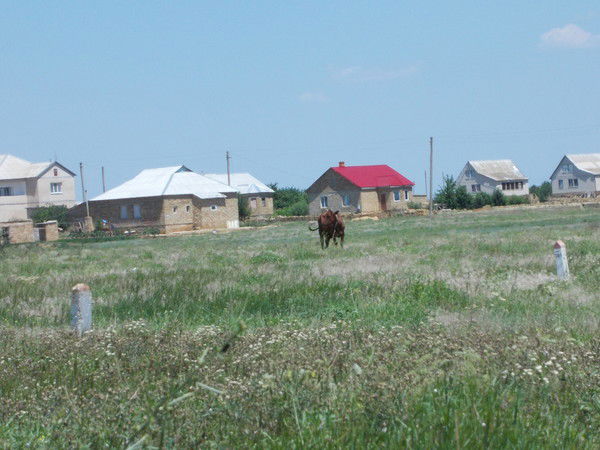 Антонина Щирска