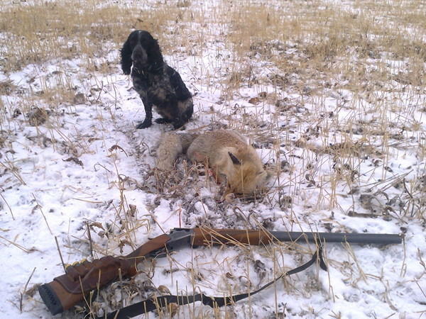 Максим Ткачев