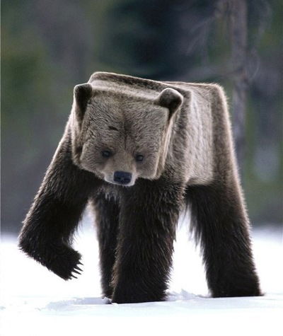 Степан Давыдов