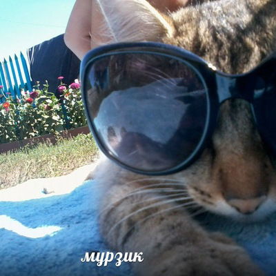 Марина Хотькина