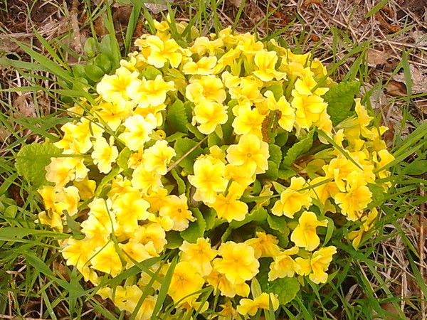 Наталья Гатауллина