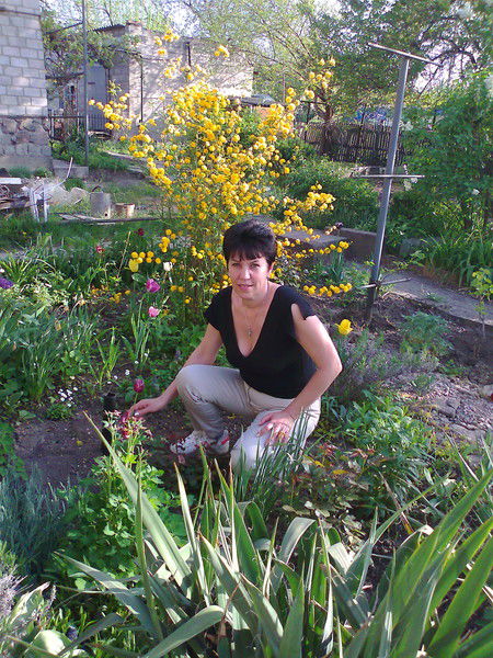 Елена Компаниец